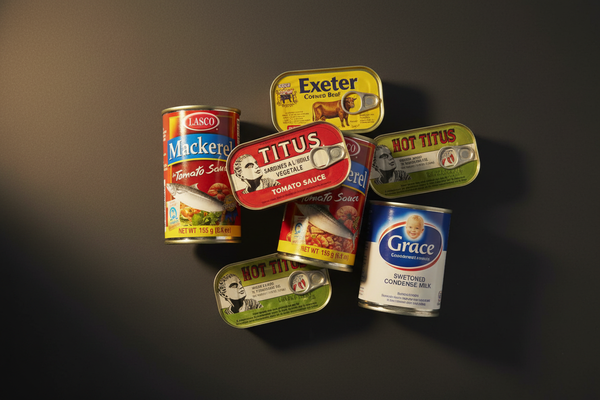 Canned & Tinned Foods
